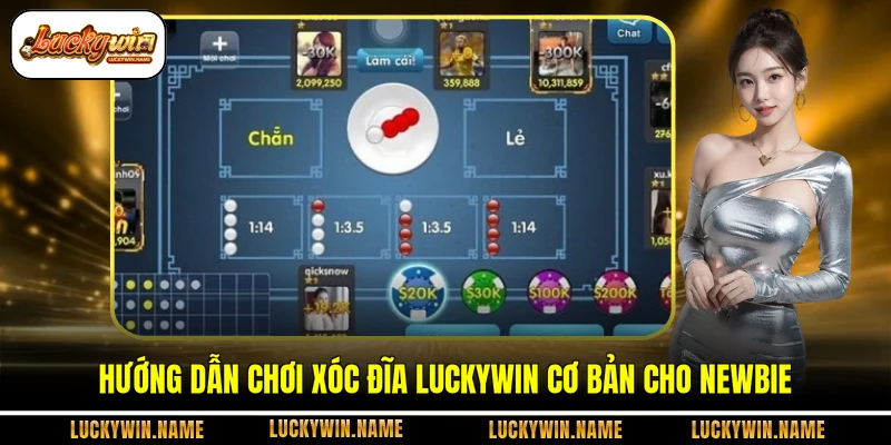 Hướng dẫn chơi xóc đĩa Luckywin cơ bản cho newbie